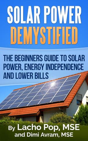 Book cover of Solar Power Demystified: The Beginners Guide To Solar Power, Energy Independence And Lower Bills