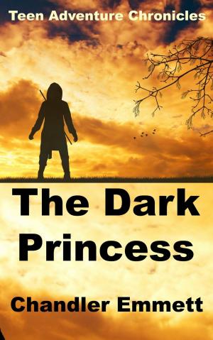 Book cover of The Dark Princess