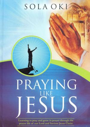 Book cover of Praying like Jesus