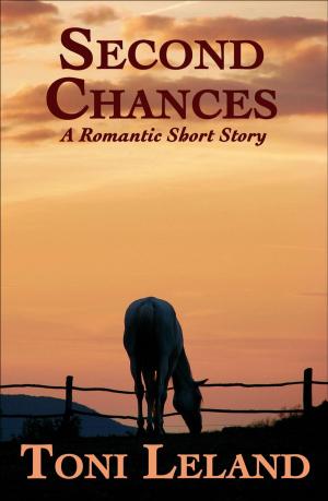 Book cover of Second Chances - a romantic short story