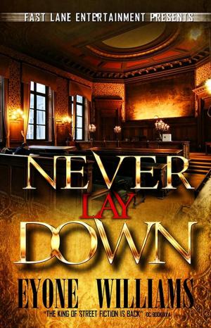 Cover of the book Never Lay Down by PMF Johnson