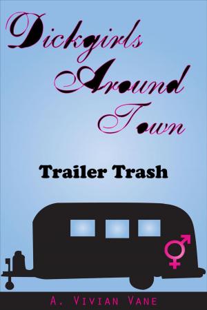 Cover of the book Dickgirls Around Town: Trailer Trash by VL Darling
