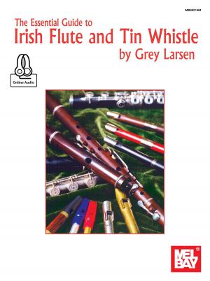 Cover of the book Essential Guide to Irish Flute and Tin Whistle by Donald Miller