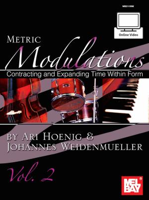 Cover of the book Metric Modulations by Vijay Iyer