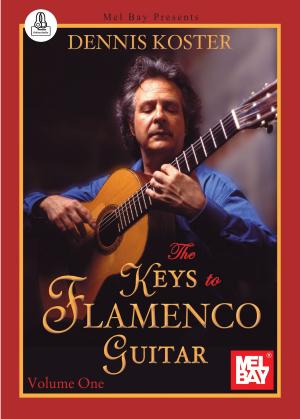 Cover of the book Keys To Flamenco Guitar by Gary Dahl