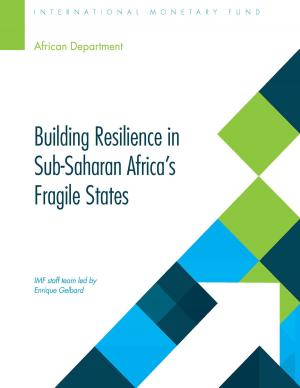 Cover of the book Building Resilience in Sub-Saharan Africa's Fragile States by Juan de la Cruz García García