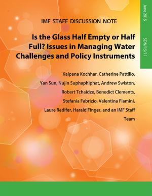 Cover of the book Is the Glass Half Empty Or Half Full? by International Monetary Fund. Research Dept.