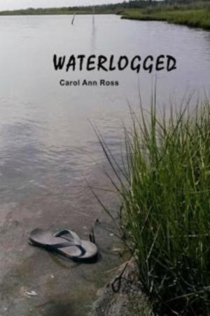 Cover of the book Waterlogged by Haley Walsh