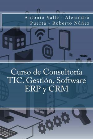 Cover of the book Curso de Consultoría TIC. Gestión, Software ERP y CRM by Juan Antonio Vázquez Moreno
