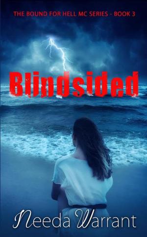 Cover of the book Blindsided by Gracie Snow