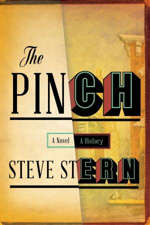 Cover of the book The Pinch by Anna Burns