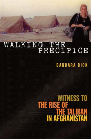 Cover of the book Walking the Precipice by Cristina Rivera Garza