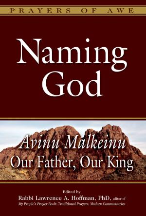 Cover of the book Naming God by Rabbi Judith Z. Abrams