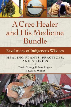 Cover of the book A Cree Healer and His Medicine Bundle by Richard Grossinger