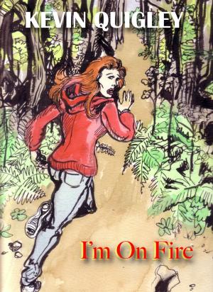Cover of the book I'm On Fire by John Meagher