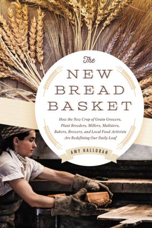 Cover of the book The New Bread Basket by Robert Kourik