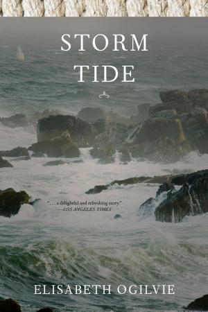 Book cover of Storm Tide
