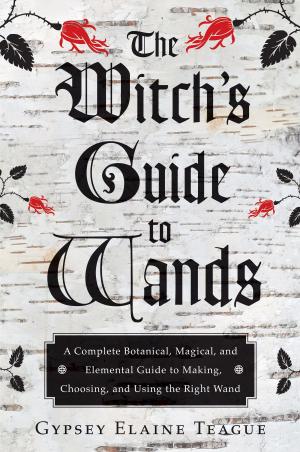 Cover of the book The Witch's Guide to Wands by Marlon Baker, Tabitha Lockhardt, Lysander LaFortune