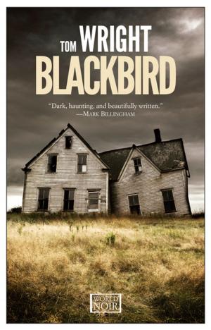 Cover of the book Blackbird by Joanna Gruda