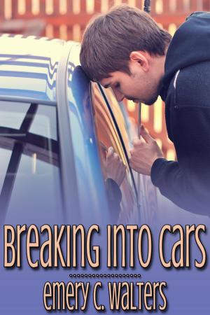 Book cover of Breaking into Cars
