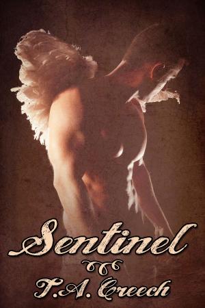 Cover of the book Sentinel by J.M. Snyder