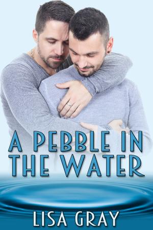 Cover of the book A Pebble in the Water by A.R. Moler