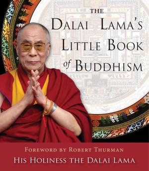 Cover of the book The Dalai Lama's Little Book of Buddhism by Theron Q. Dumont
