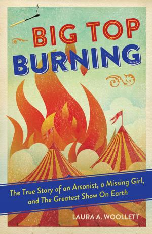 Cover of the book Big Top Burning by Cory Franklin