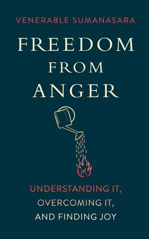 Cover of the book Freedom from Anger by Josh Korda