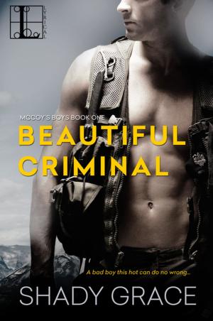 Cover of the book Beautiful Criminal by Maggie Wells