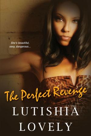 Book cover of The Perfect Revenge