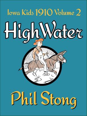 Cover of the book High Water by Niven Busch