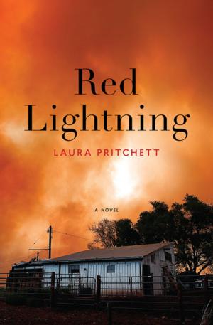 Cover of the book Red Lightning by Michael Jacobs