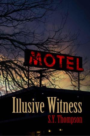 Cover of the book Illusive Witness by Nicholas Scott