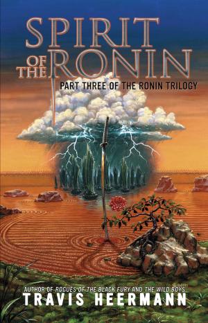 Cover of the book Spirit of the Ronin by Vincent Wagner, Roger Seiter