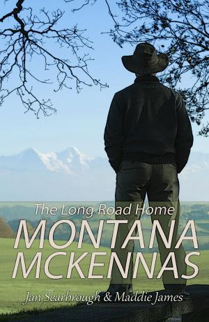 Book cover of The Montana McKennas: The Long Road Home