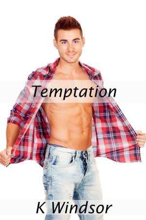 Cover of the book Temptation by Taylor Ryan