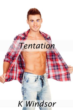Cover of the book Tentation by Jocelyn Modo, Cindy Jacks, Gemma Parkes