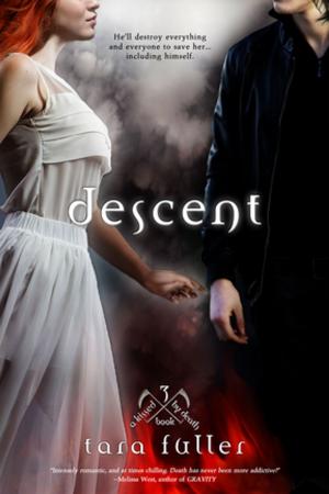 Cover of the book Descent by Cole Gibsen