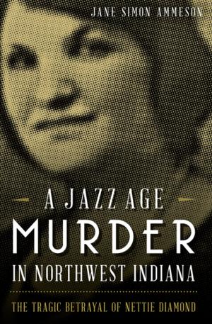 Cover of the book A Jazz Age Murder in Northwest Indiana by Jo Piazza