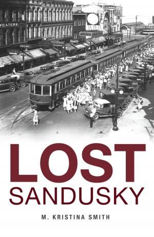 Cover of the book Lost Sandusky by John Galluzzo