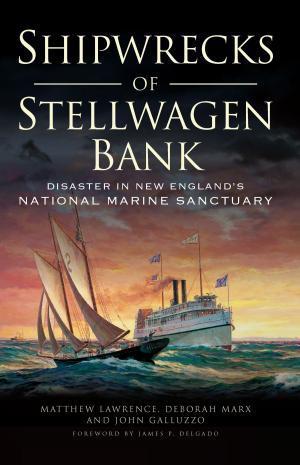 Cover of the book Shipwrecks of Stellwagen Bank by Christina B. Nolan