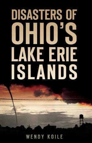 Book cover of Disasters of Ohio’s Lake Erie Islands