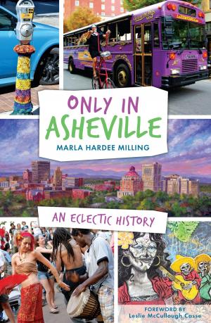 Cover of the book Only in Asheville by Dave Otto, Richard Ellington