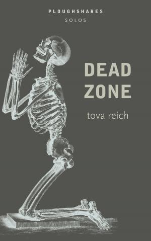 bigCover of the book Dead Zone (Ploughshares Solo) by 
