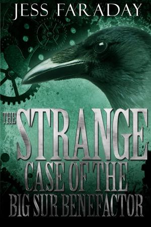 Cover of the book The Strange Case of the Big Sur Benefactor by Yolanda Wallace