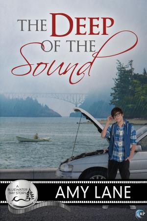 Cover of the book The Deep of the Sound by JL Merrow