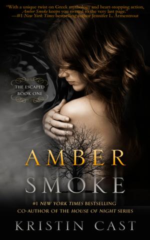 Cover of the book Amber Smoke by Michele Jaffe