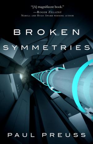 Cover of the book Broken Symmetries by Amanda Dubin