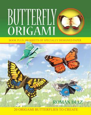 Cover of the book Butterfly Origami by Nancy J. Hajeski